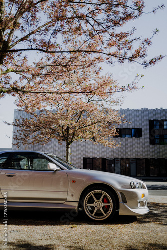 Silver Japanese sports car nissan skyline parked under a blooming pink cherry blossom tree in spring