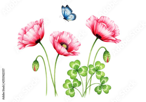 Vibrant pink poppies and green clover with blue butterfly, celebrating spring and summer, ideal for nature designs and whimsical motifs.