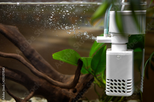 Aquarium air compressor with tubing and an air stone for water aeration. Aquarium equipment for oxygenating water, maintaining water quality and caring for freshwater fish.