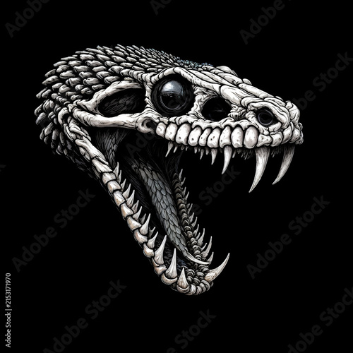 Skeleton of a snake's head with an open mouth