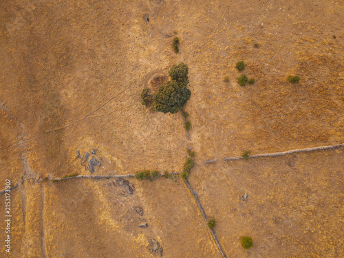 Foto Dehesa landscape in Salamanca, Spain, showing widespread dry