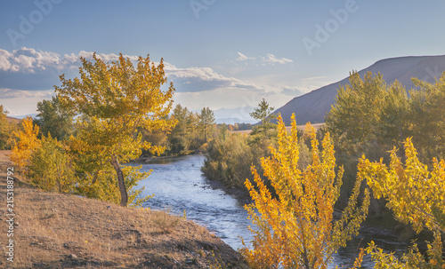 Mountain river in golden autumn, indian summer, forested banks