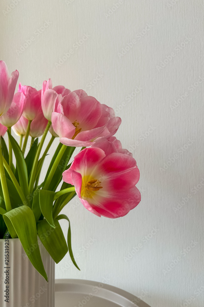 Obraz premium Pink tulips in a white vase placed on a table next to a plain wall during daylight hours