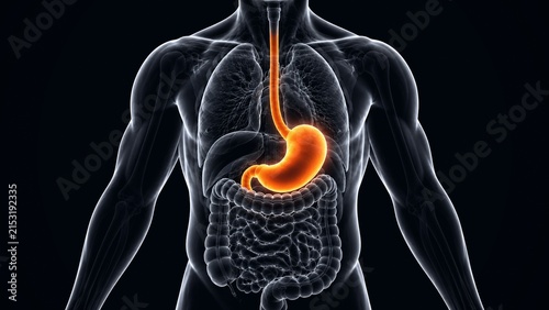Canvastavla 3D Illustration of Inflamed Glowing Stomach and Upper Digestive Tract on Dark Ba