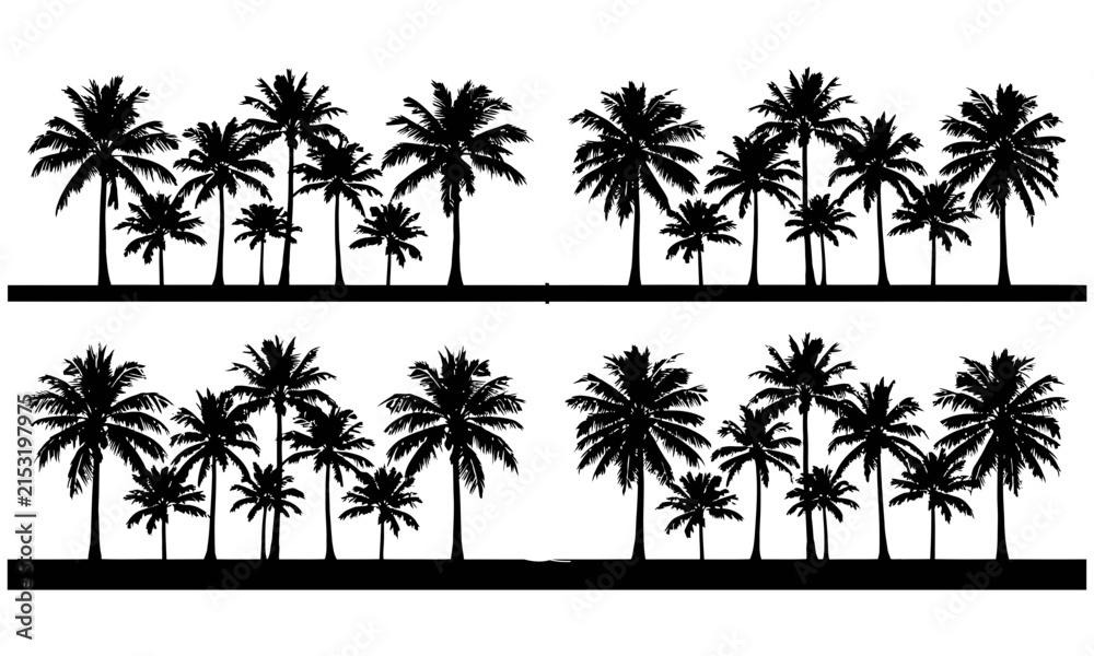 Naklejka premium Palm trees row illustration in black and white