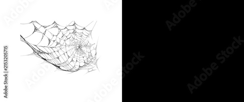 Spooky spider web illustration, hand drawn cobweb sketch on white background, gothic halloween design element