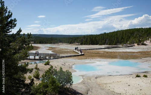 Fotografía Passerelle au Porcelain Basin à Norris Geyser basin - Yellowstone
