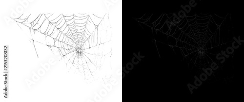 Canvastavla Spooky spider web on white and black background, creepy cobweb design elements,