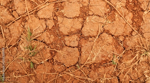 Konstfotografi Cracked Dry Red Soil Texture On Parched Earth Showing Drought And Arid Land Cond
