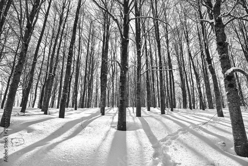 Livata In Inverno 