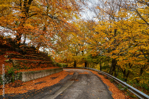 autumn in Italy 