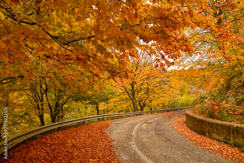 autunno in appennino 