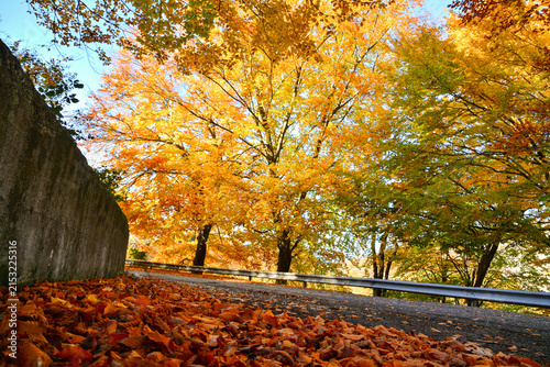 autunno