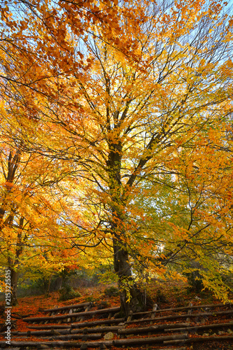 appennino in autunno