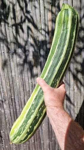 hand holding zucchini
