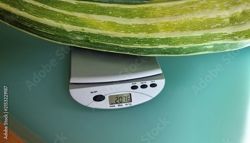 green zucchini, to big?