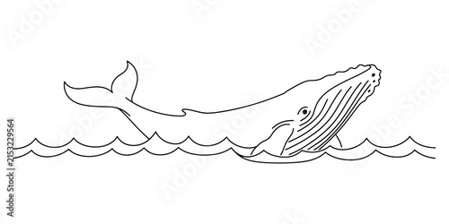 Photography Black and white line art drawing of a humpback whale swimming in the ocean
