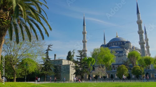 Stunning wide shot of the historic Blue Mosque in Istanbul featuring majestic architecture, towering minarets, and lush green trees during a bright sunny day in Turkey