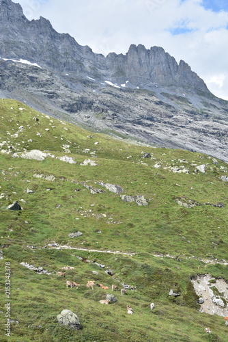 Maderanertal