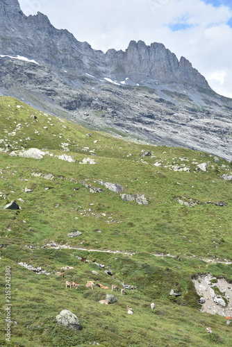 Maderanertal