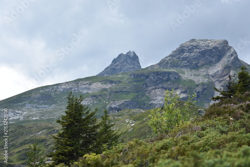 Maderanertal