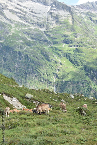 Maderanertal