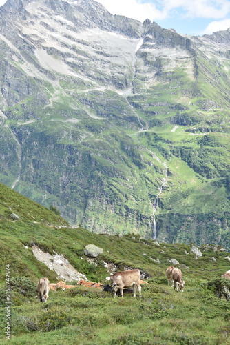 Maderanertal