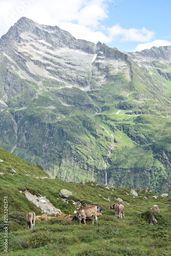 Maderanertal