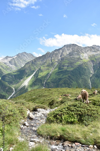 Maderanertal