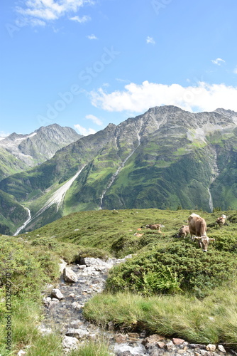 Maderanertal