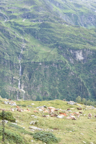 Maderanertal