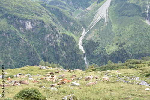 Maderanertal