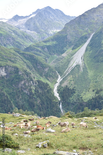 Maderanertal