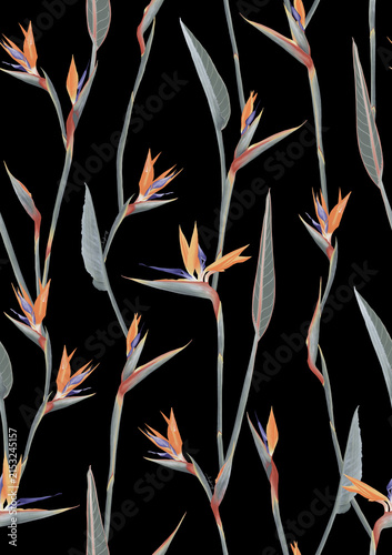 Quadro su tela Tropical Bird of Paradise Seamless Pattern on Black Background