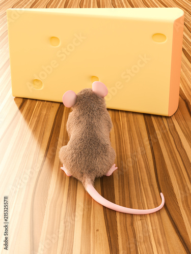 Mouse looking at piece of cheese