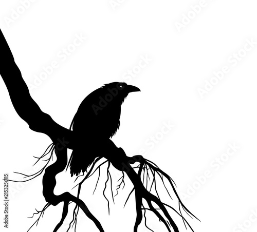 mysterious raven bird gazing and sitting on bare tree twisted branch cascading down - halloween dark magic spooky animal page corner vector design set