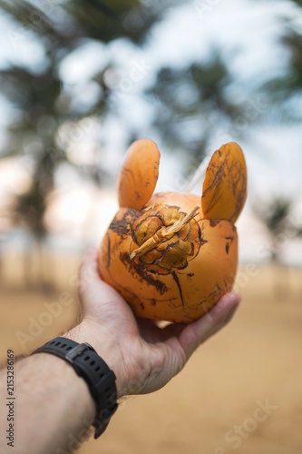 Hand holding unique orange coconut with ears on sandy beach in Sri Lanka