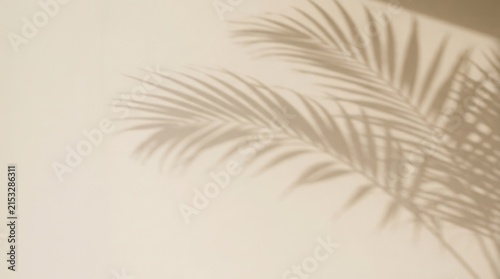 Shadow of a palm leaf on a beige background