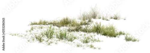grass isolated on white/High-resolution wild grass patch isolated on white background, sharp detail cutout for architectural rendering and landscape design.