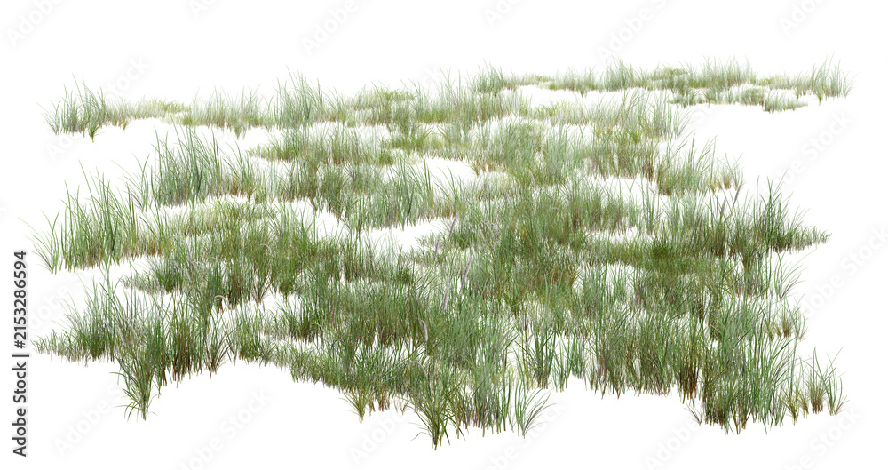 Fototapeta premium green grass isolated on white/Green grass field patch isolated on white background. High resolution, sharp detail, detailed botanical 