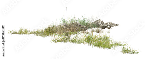 grass on white background/High-resolution detailed grassy landscape with natural rocks and lush green vegetation isolated on a clean white background.