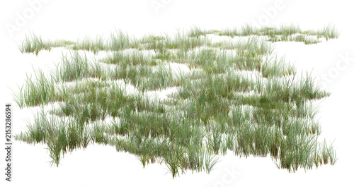 green grass isolated on white/Green grass field patch isolated on white background. High resolution, sharp detail, detailed botanical 