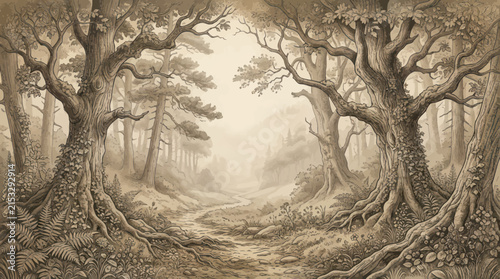 Sepia-toned illustration of an ancient forest path winding through gnarled trees with exposed roots, bathed in soft, ethereal light.