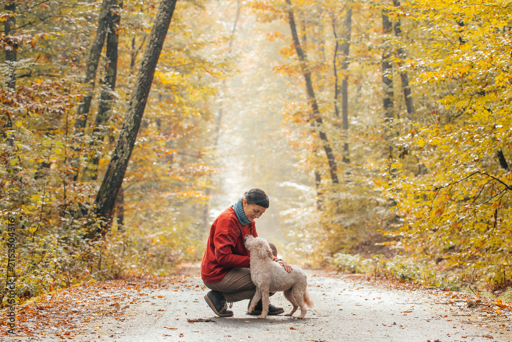 Fototapeta premium Woman having fun in a forest with her dogs early in an autumn morning. 
