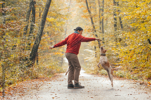 Woman having fun in a forest with her dogs early in an autumn morning. 