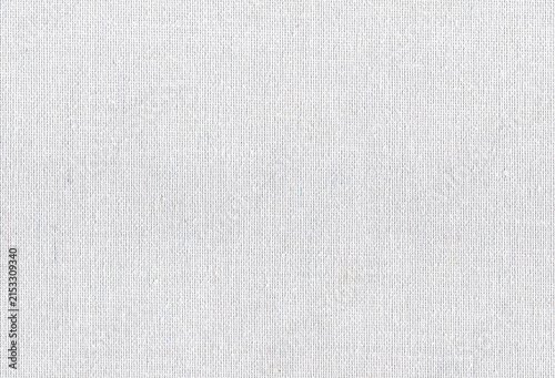 Photography Linear canvas paper displays slender pressed ribs and scattered fibers across a