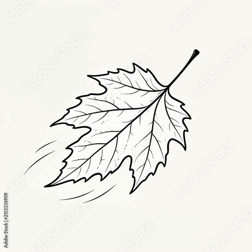 Black and white line art sketch of three maple leaves on a single stem isolated on white background