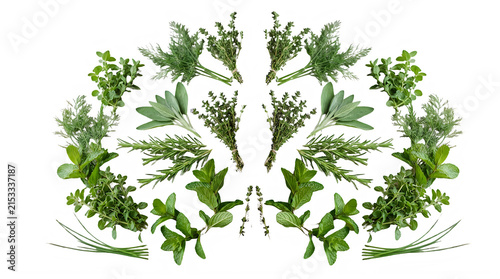 Green fresh herbal plants arranged in circular wreath shape on transparent background transparent background