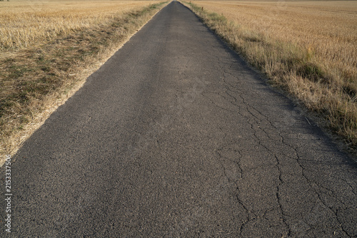 Wide road stretches through open fields under blue sky during daytime