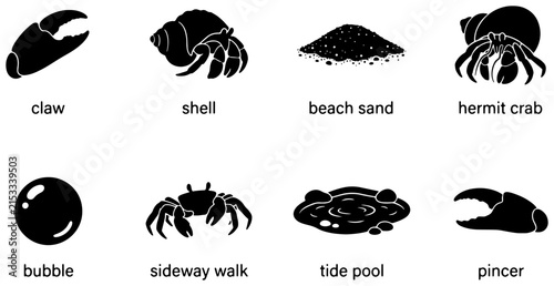 Ocean Life Icons: Hermit Crab, Claw, Shell, Beach Sand, Bubble, Sideway Walk, Tide Pool, Pincer Vector Set
